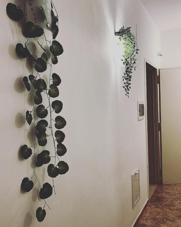Esperanto B&B Bari Ngoại thất bức ảnh